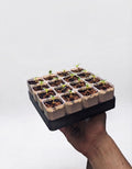 Bandeja germinadora